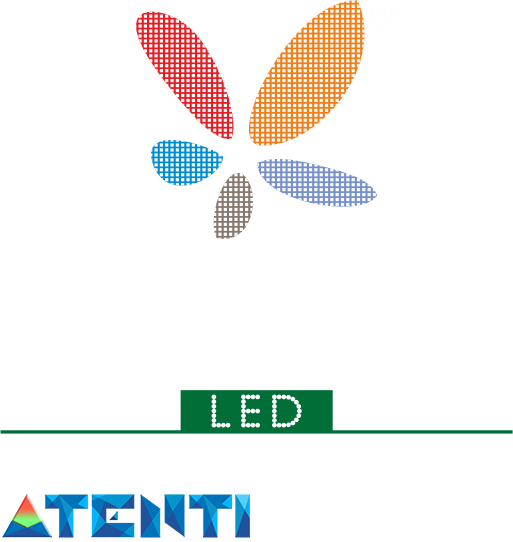 Orion Logo Home